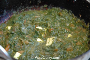 Spinach-Saag Paneer