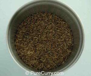 Cumin Seeds in Grinder