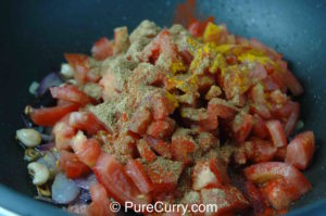 Shahi Paneer - Powdered spices added