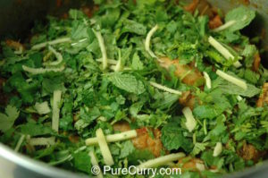 Biryani layer with Mint and Cilantro leaves and Ginger juliennes