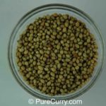 Coriander Seeds