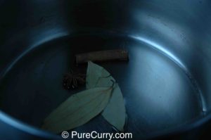 Cinnamon, Bay Leaves, Star Anise